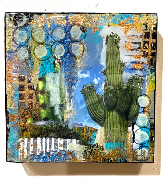 Cactus Journey